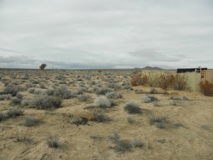 P2060038